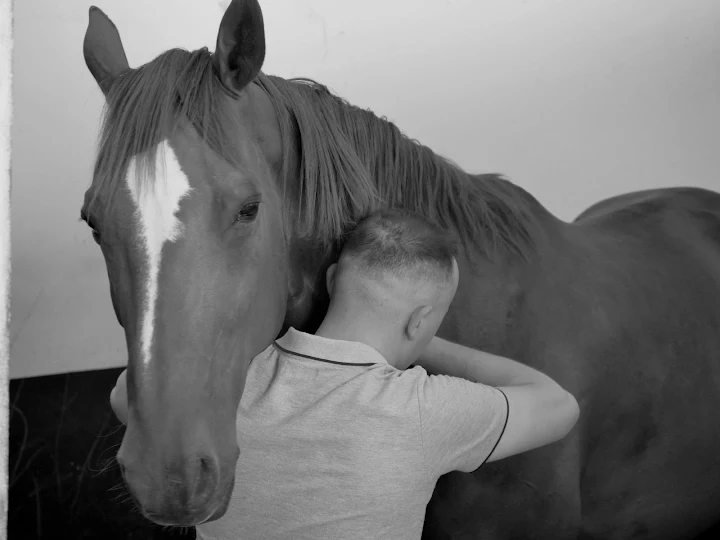 Photo de Jullian BINESTI – Ostéopathe pour animaux