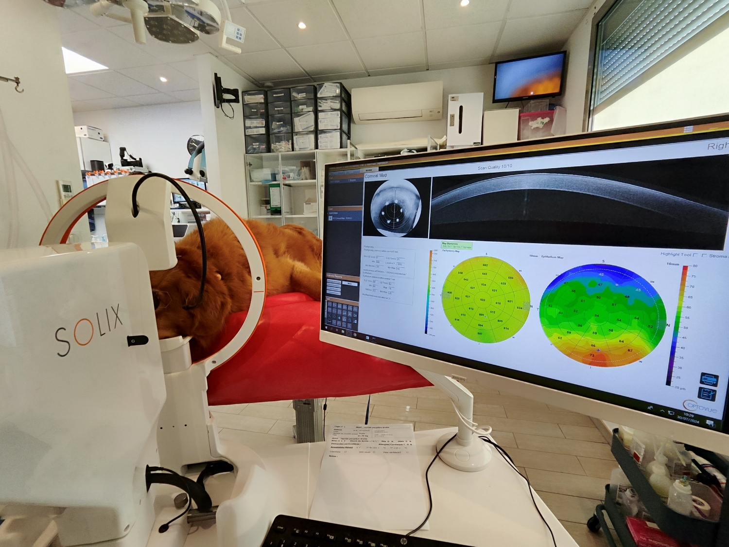 Photo de CLINIQUE VÉTÉRINAIRE ANIMA-VET